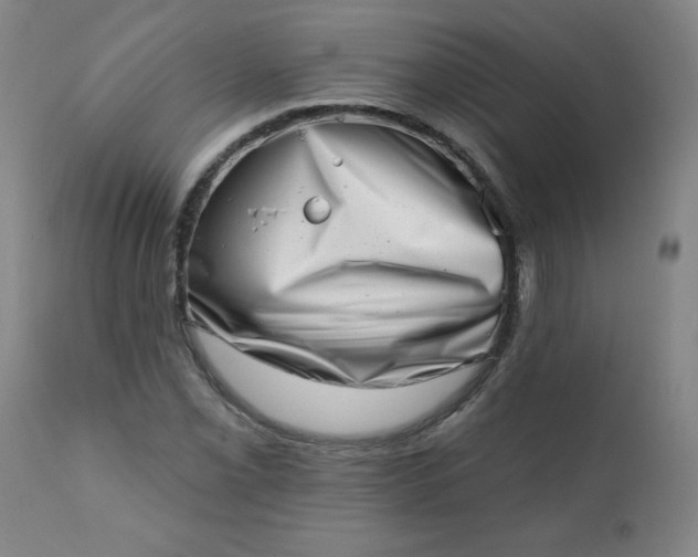 X0000113201069200909241353