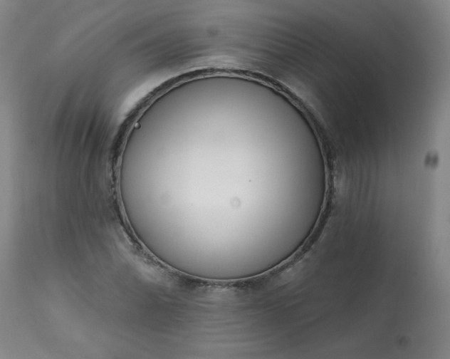 X0000113201070200909241353