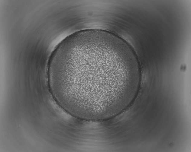 X0000113201071200909241353