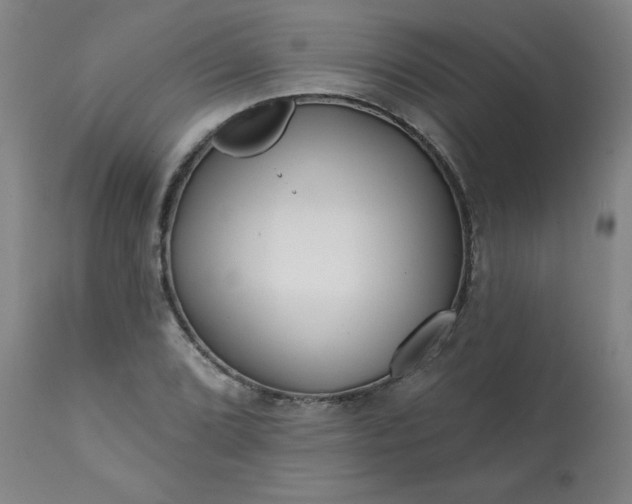 X0000113201072200909241353