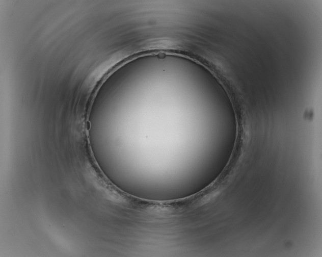 X0000113201073200909241353