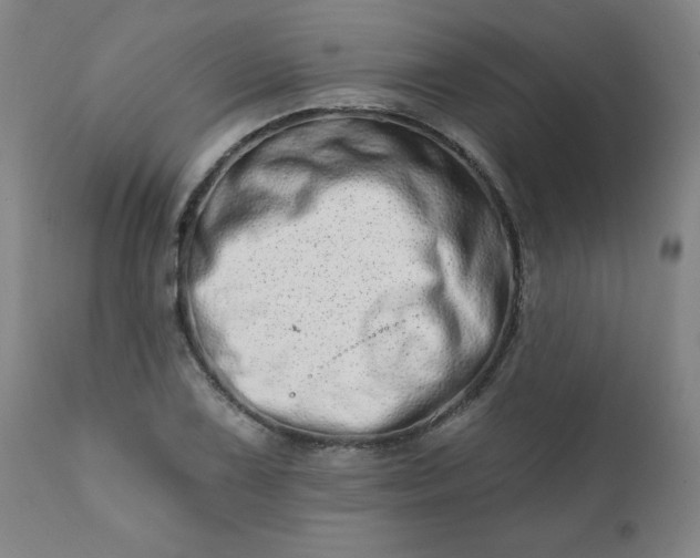 X0000113201075200909241353