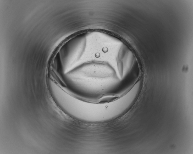 X0000113201076200909241353