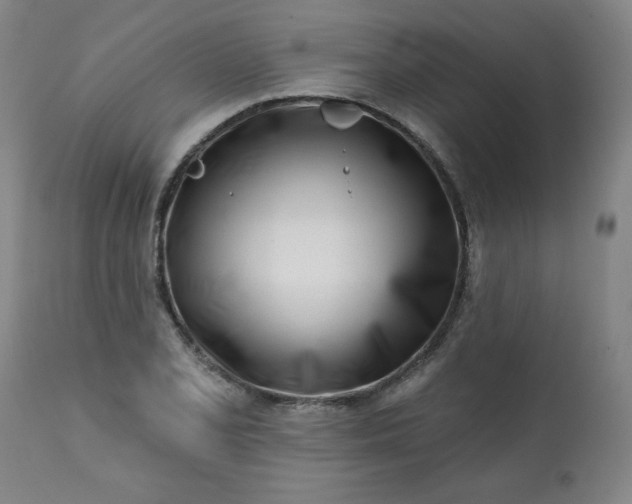 X0000113201077200909241353