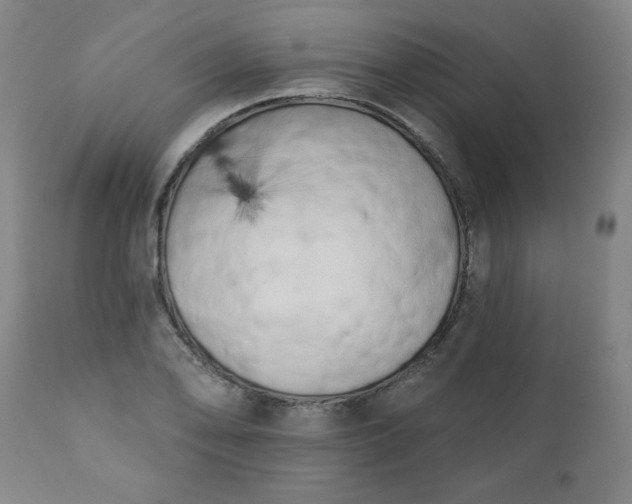 X0000113201078200909241353