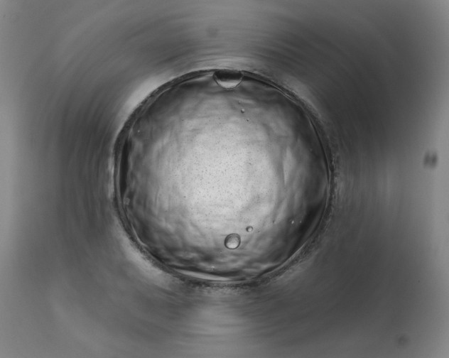 X0000113201079200909241353