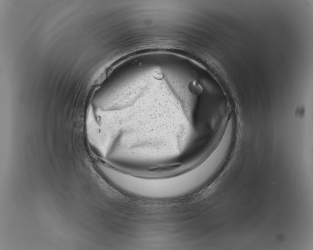 X0000113201081200909241353