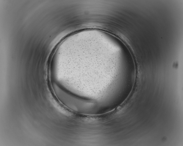 X0000113201082200909241353