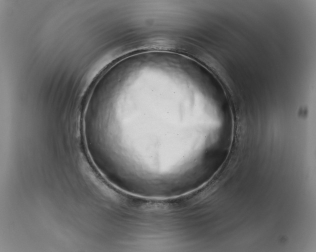 X0000113201083200909241353