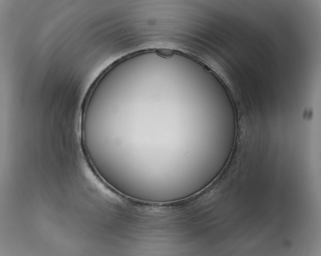 X0000113201084200909241353