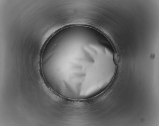 X0000113201085200909241353