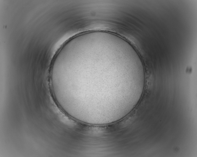 X0000113201086200909241353