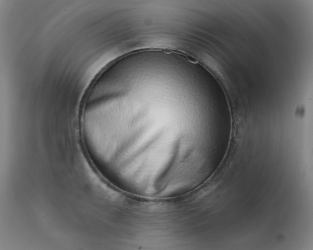 X0000113201087200909241353