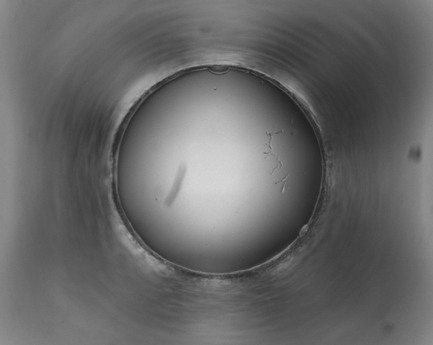 X0000113201088200909241353