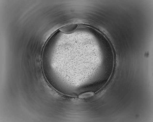 X0000113201089200909241353