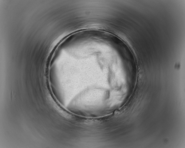 X0000113201091200909241353