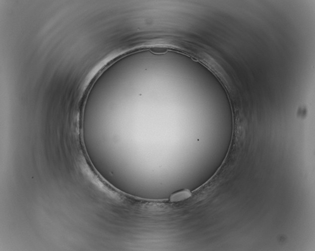 X0000113201092200909241353