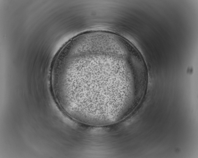 X0000113201093200909241353