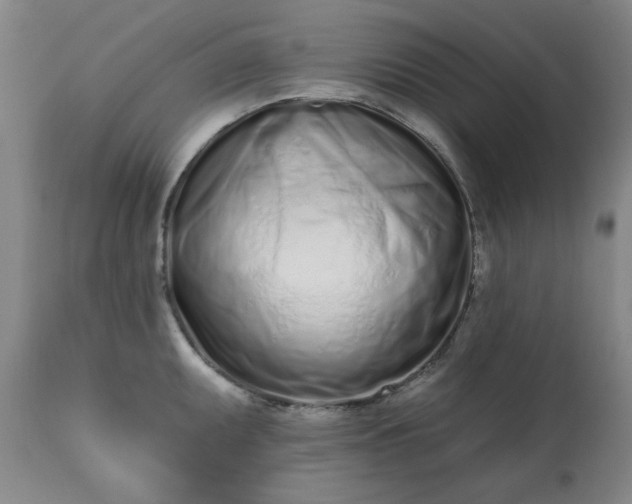 X0000113201095200909241353