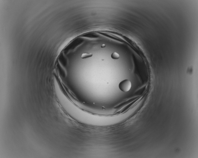 X0000113201097200909241353