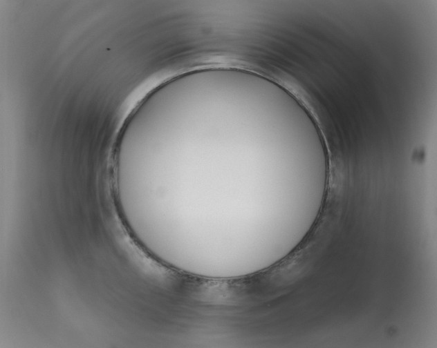 X0000113201098200909241353