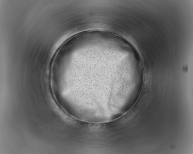 X0000113201099200909241353