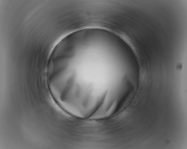 X0000113201100200909241353