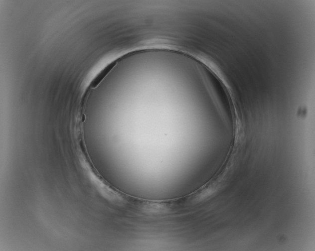 X0000113201101200909241353