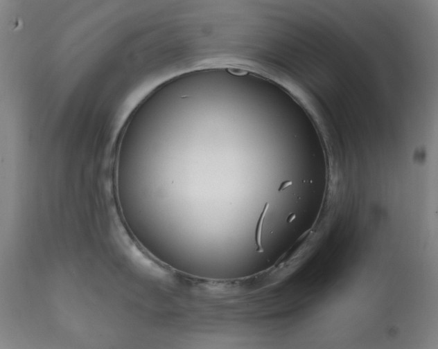 X0000113201102200909241353