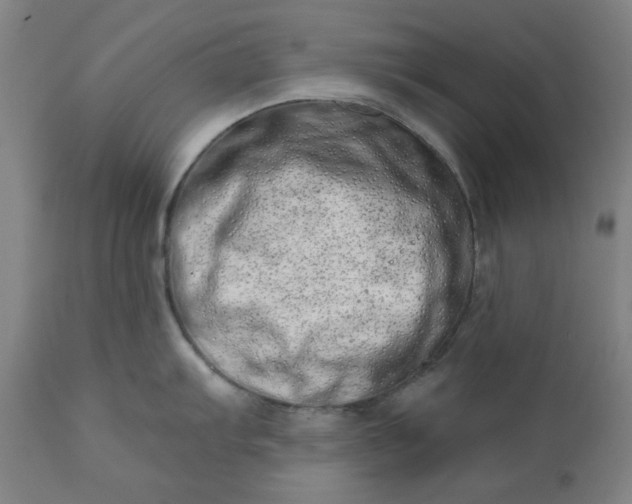 X0000113201103200909241353