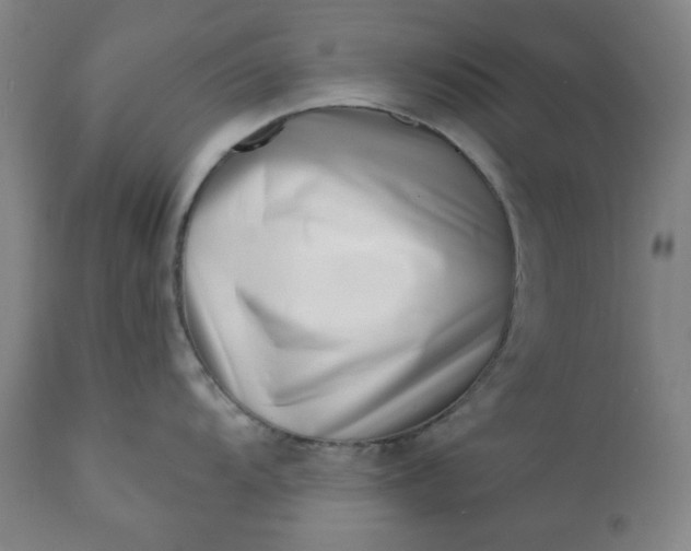 X0000113201104200909241352