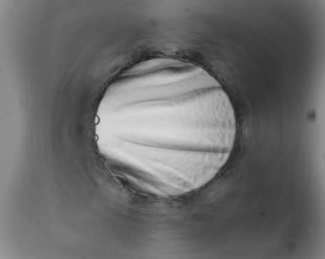 X0000113201105200909241351