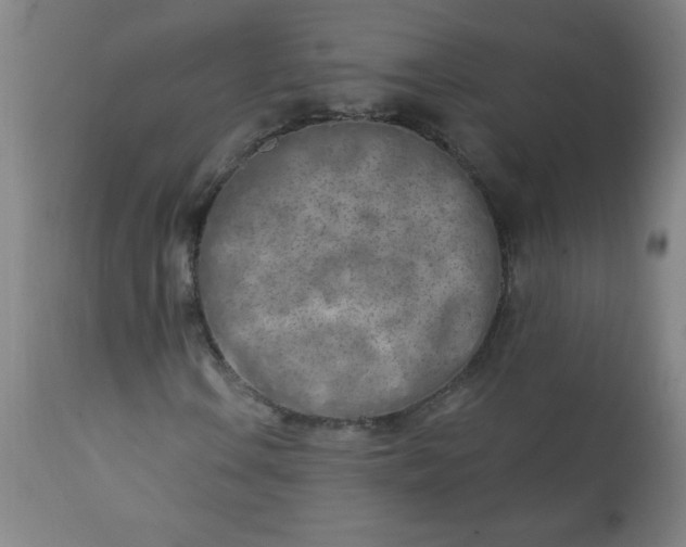 X0000113201106200909241351