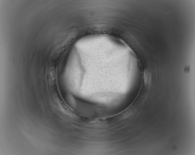 X0000113201107200909241351