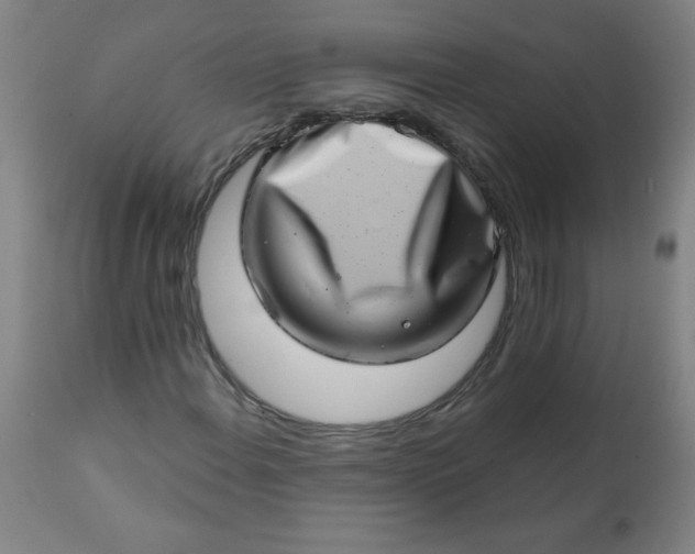 X0000113201108200909241351