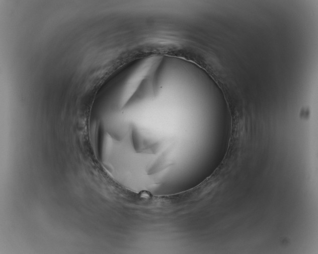 X0000113201109200909241351