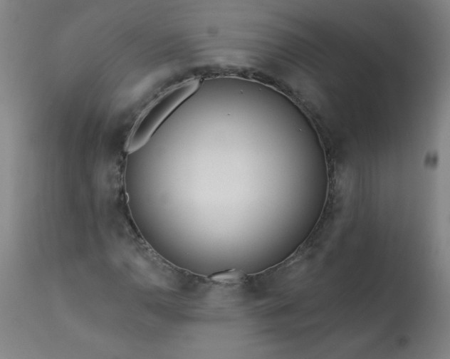 X0000113201110200909241351