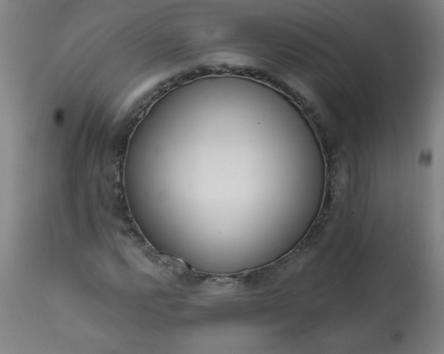 X0000113201112200909241351