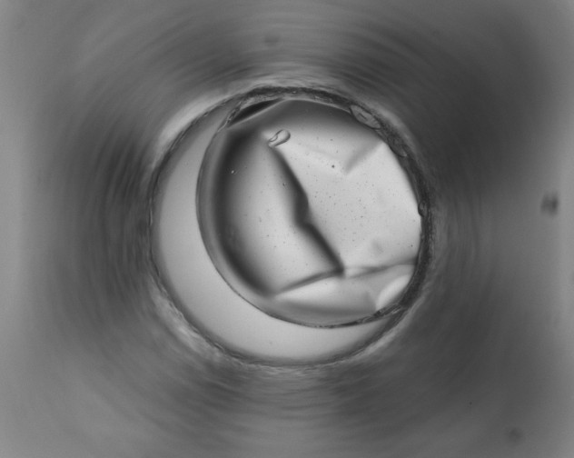 X0000113201114200909241351