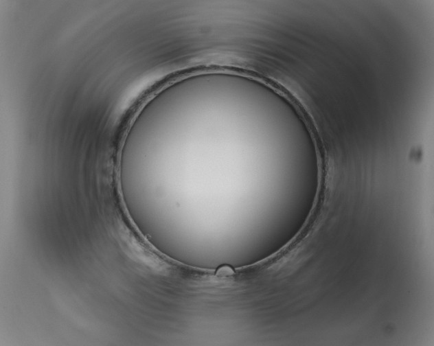 X0000113201115200909241351