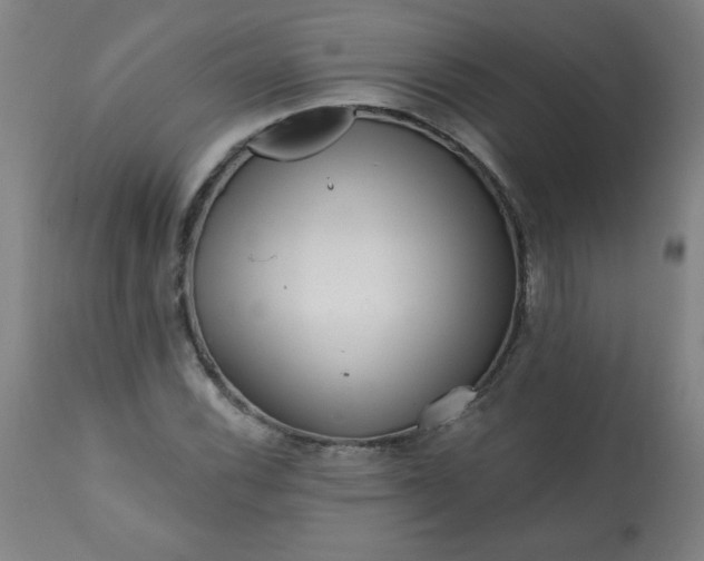 X0000113201116200909241351