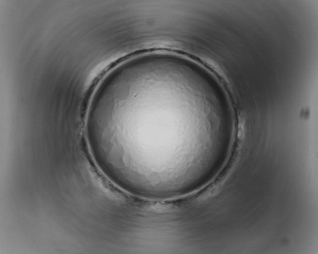 X0000113201117200909241351