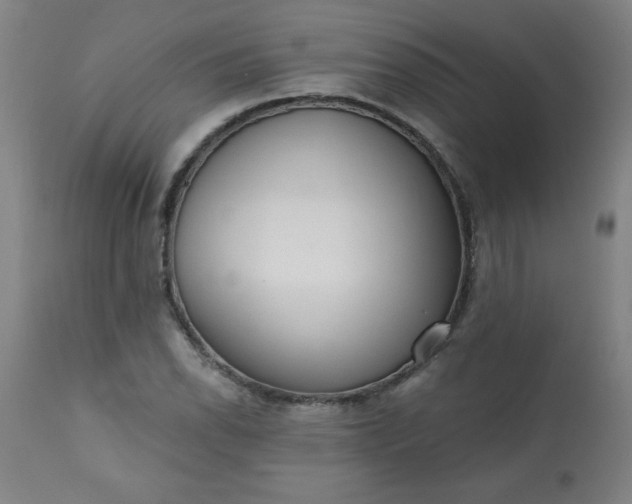 X0000113201118200909241352