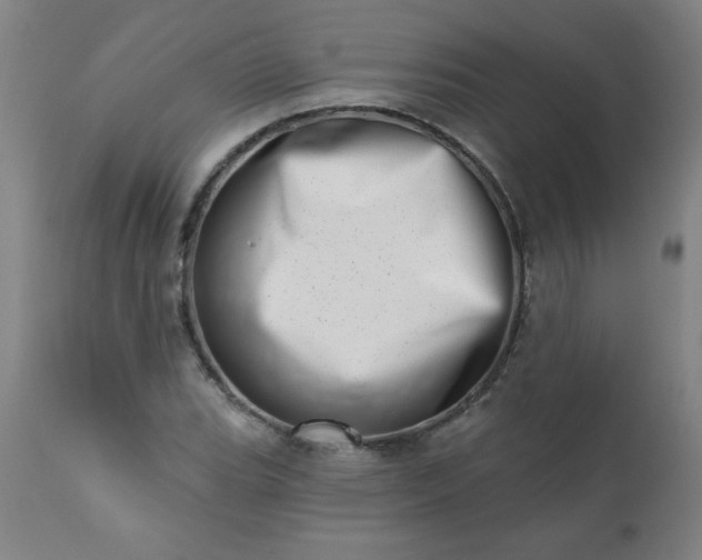 X0000113201119200909241352