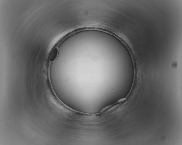 X0000113201120200909241352