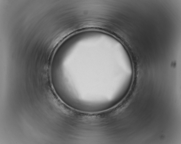 X0000113201121200909241352