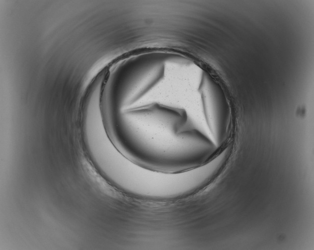 X0000113201122200909241352