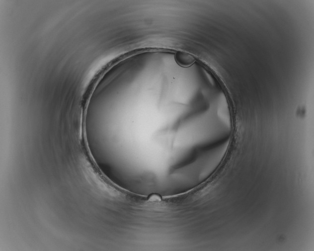 X0000113201123200909241352