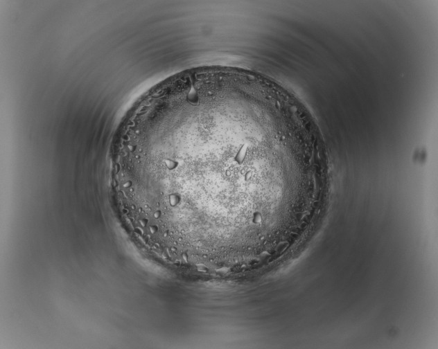 X0000113201125200909241352