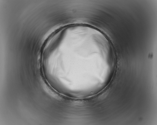 X0000113201126200909241352